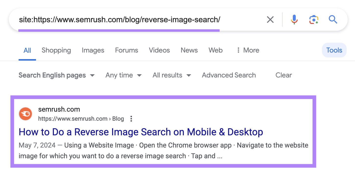 site search on Google for a specific page from "sr02.amztools.in" with the indexed result highlighted