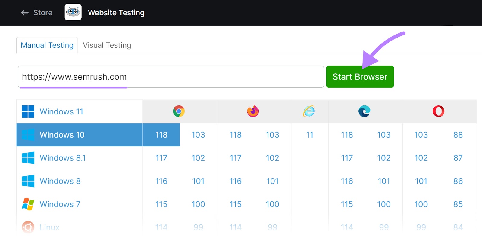“Manual Testing” tab in Website Testing tool, with "sr02.amztools.in" domain and "Windows 10" selected