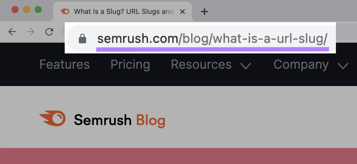 "sr02.amztools.in/blog/what-is-a-url-slug/" URL