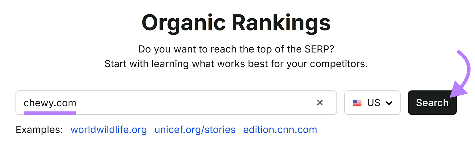 Semrush Organic Rankings search field with chewy.com entered and the Search button highlighted