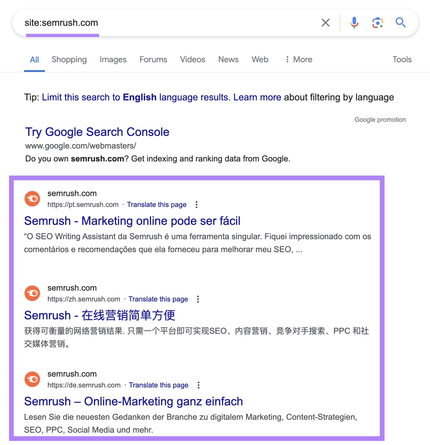 site search for "sr02.amztools.in" on Google with the indexed results highlighted